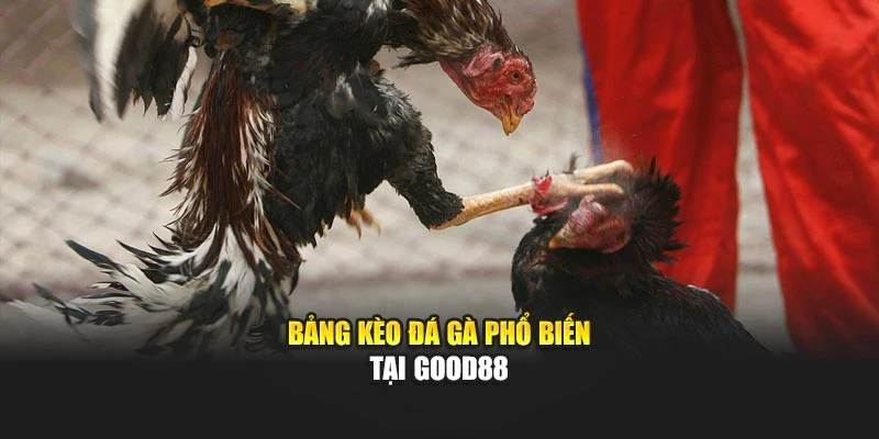 Bảng kèo đá gà phổ biến tại Good88