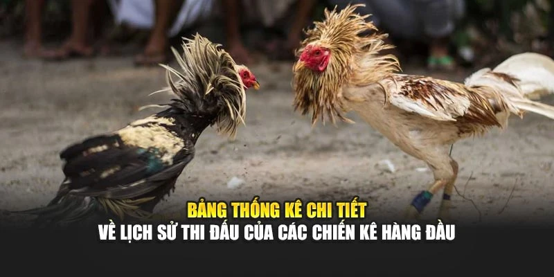 Bảng thống kê chi tiết về lịch sử thi đấu của các chiến kê hàng đầu