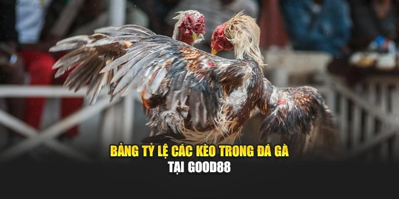 Bảng tỷ lệ các kèo trong đá gà tại Good88
