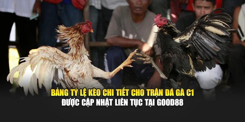 Bảng tỷ lệ kèo chi tiết cho trận đá gà C1 được cập nhật liên tục tại Good88