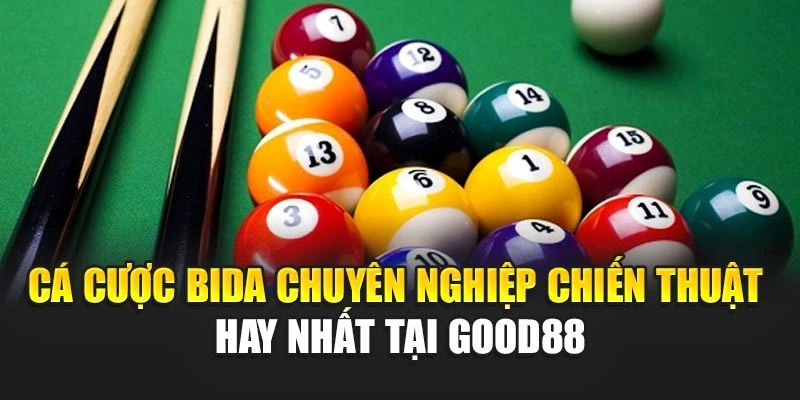 Cá Cược Bida Chuyên Nghiệp Chiến Thuật Hay Nhất Tại Good88