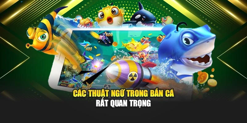 Các thuật ngữ trong bắn cá rất quan trọng