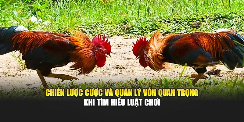 Chiến lược cược và quản lý vốn quan trọng khi tìm hiểu luật chơi