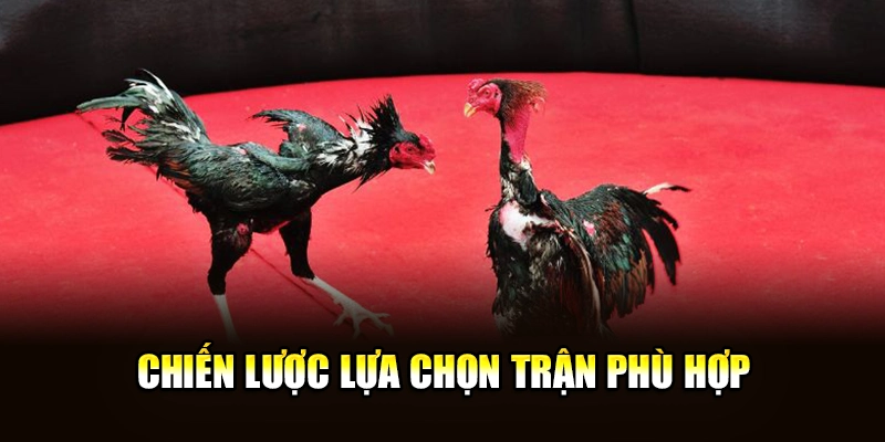 Chiến lược lựa chọn trận phù hợp