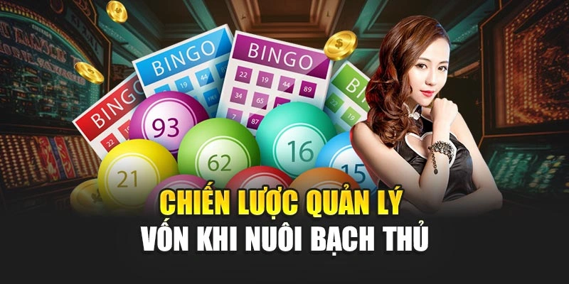 Chiến lược quản lý vốn khi nuôi bạch thủ