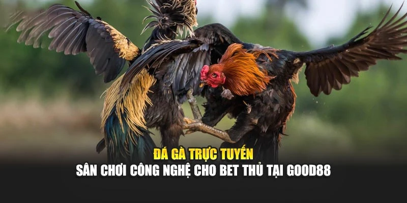 Đá Gà Trực Tuyến – Sân Chơi Công Nghệ Cho Bet Thủ Tại Good88
