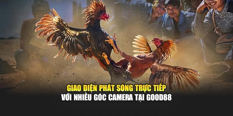 Giao diện phát sóng trực tiếp với nhiều góc camera tại Good88