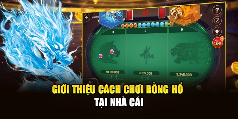 Giới thiệu cách chơi Rồng Hổ tại nhà cái