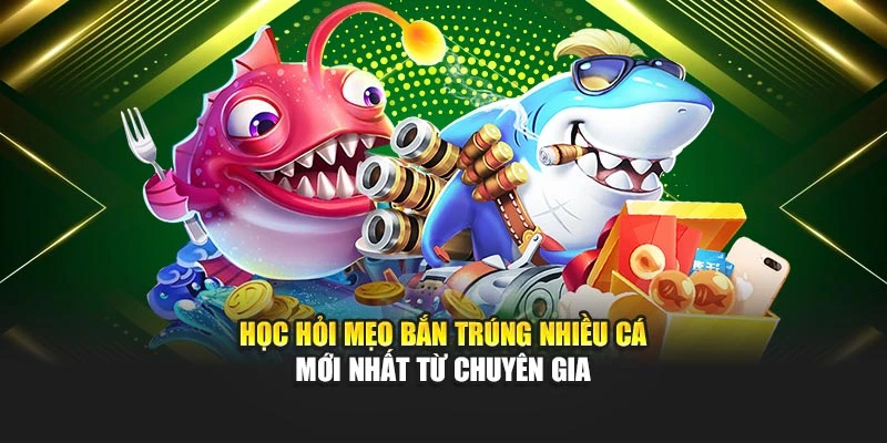 Học hỏi mẹo bắn trúng nhiều cá mới nhất từ chuyên gia