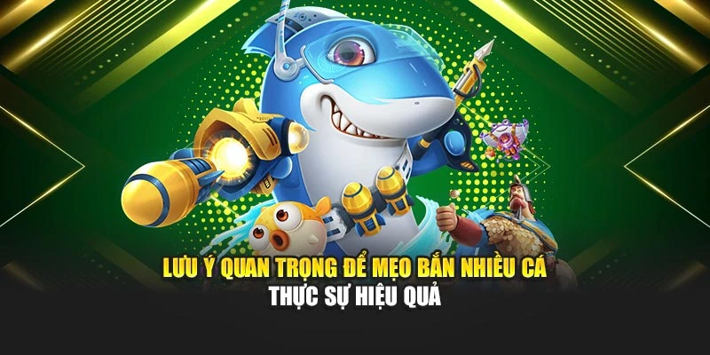 Lưu ý quan trọng để mẹo bắn nhiều cá thực sự hiệu quả