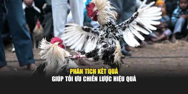Phân tích kết quả giúp tối ưu chiến lược hiệu quả