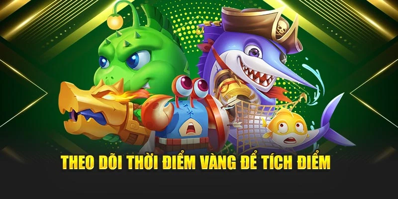Theo dõi thời điểm vàng để tích điểm