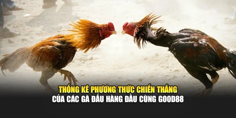 Thống kê phương thức chiến thắng của các gà đấu hàng đầu cùng Good88