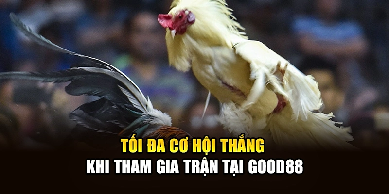 Tối đa cơ hội thắng khi tham gia trận tại Good88