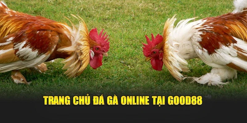 Trang chủ đá gà online tại Good88