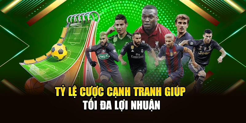Tỷ lệ cược cạnh tranh giúp tối đa lợi nhuận