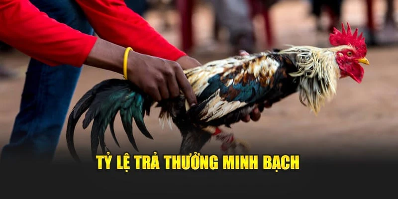 Tỷ lệ trả thưởng minh bạch